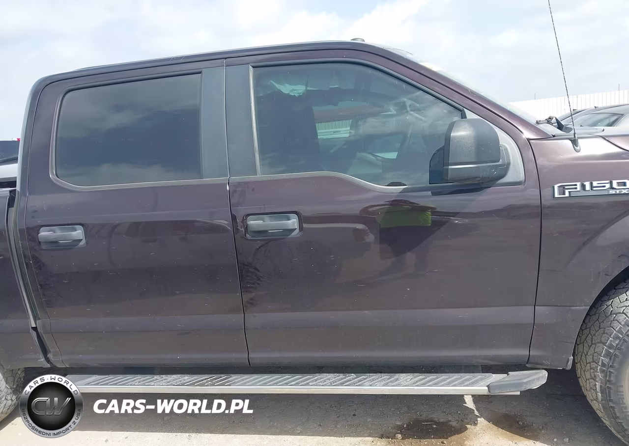 2019 Ford F-150 Xl VIN:1FTEW1CP5KKE21075 - 12