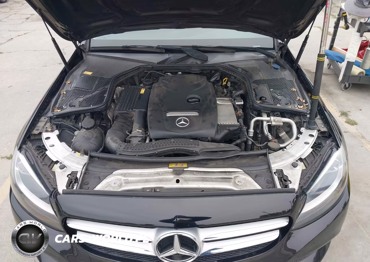 2016 Mercedes-Benz C 300 VIN:55SWF4JB8GU132711 - 10