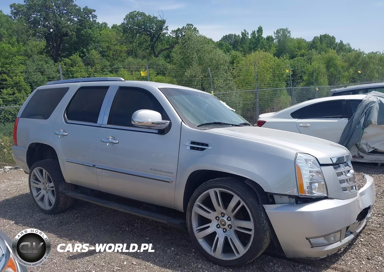 2011 Cadillac Escalade Premium VIN:1GYS4CEF0BR161162 - 13