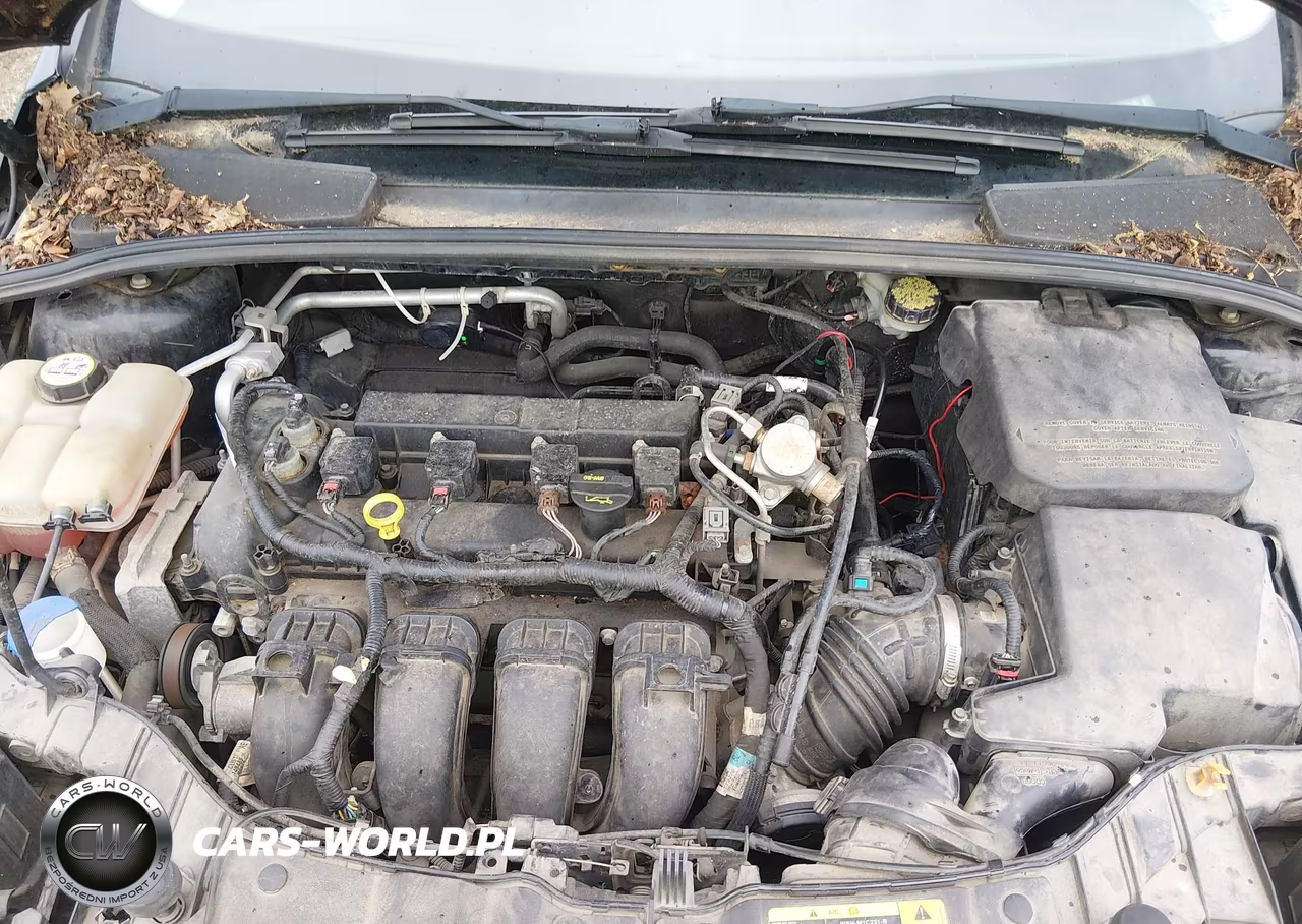 2013 Ford Focus Se VIN:1FADP3K28DL176186 - 10