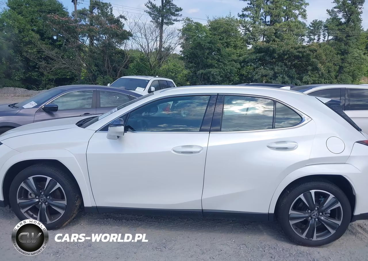 2025 Lexus Ux 300H Premium VIN:JTHYBJAH7S2018475 - 14