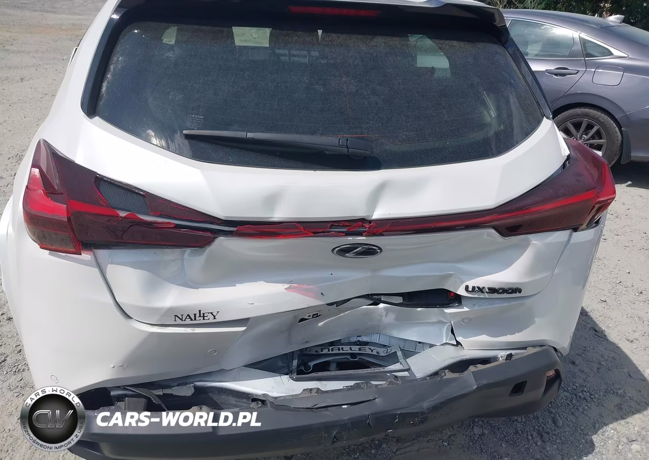 2025 Lexus Ux 300H Premium VIN:JTHYBJAH7S2018475 - 6