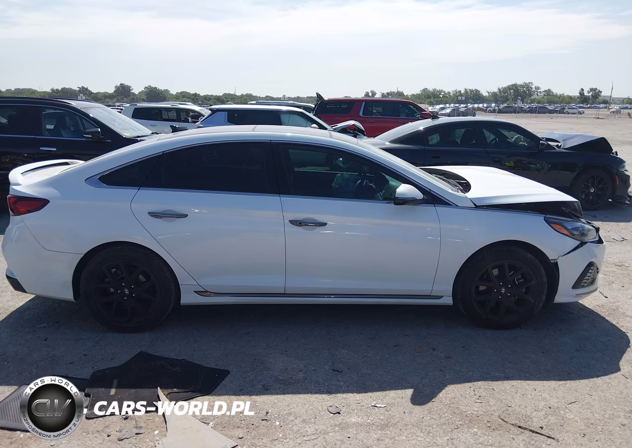 2019 Hyundai Sonata Limited 2.0T VIN:5NPE34AB9KH745842 - 13