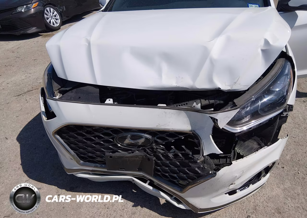 2019 Hyundai Sonata Limited 2.0T VIN:5NPE34AB9KH745842 - 6
