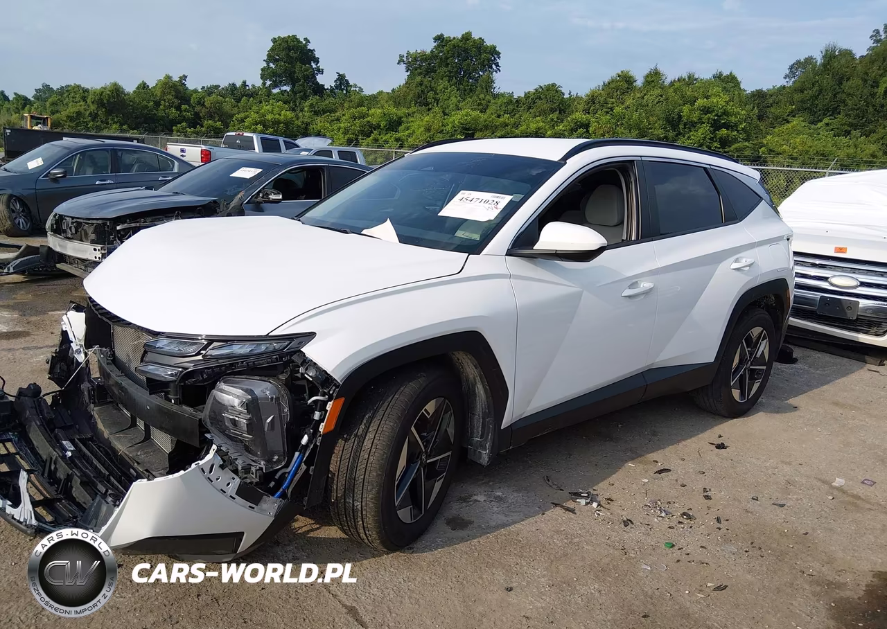 2025 Hyundai Tucson Sel VIN:5NMJB3DE5SH522518 - 2