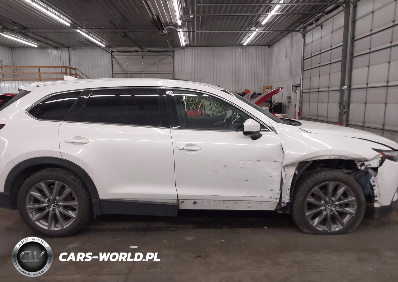 2020 Mazda Cx-9 Touring VIN:JM3TCBCY0L0406762 - 13