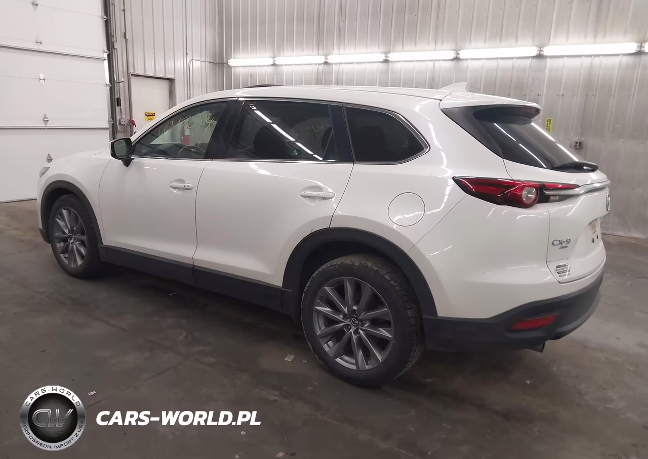 2020 Mazda Cx-9 Touring VIN:JM3TCBCY0L0406762 - 3