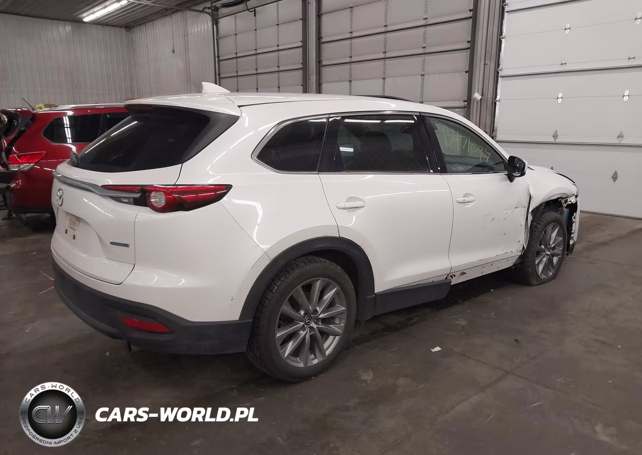2020 Mazda Cx-9 Touring VIN:JM3TCBCY0L0406762 - 4
