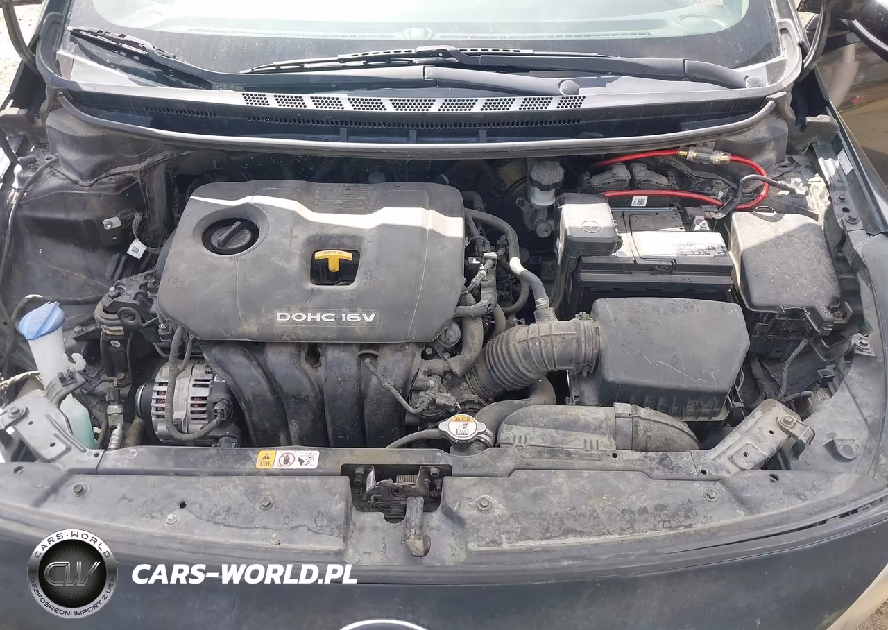 2017 Kia Forte Lx VIN:3KPFK4A72HE044124 - 10