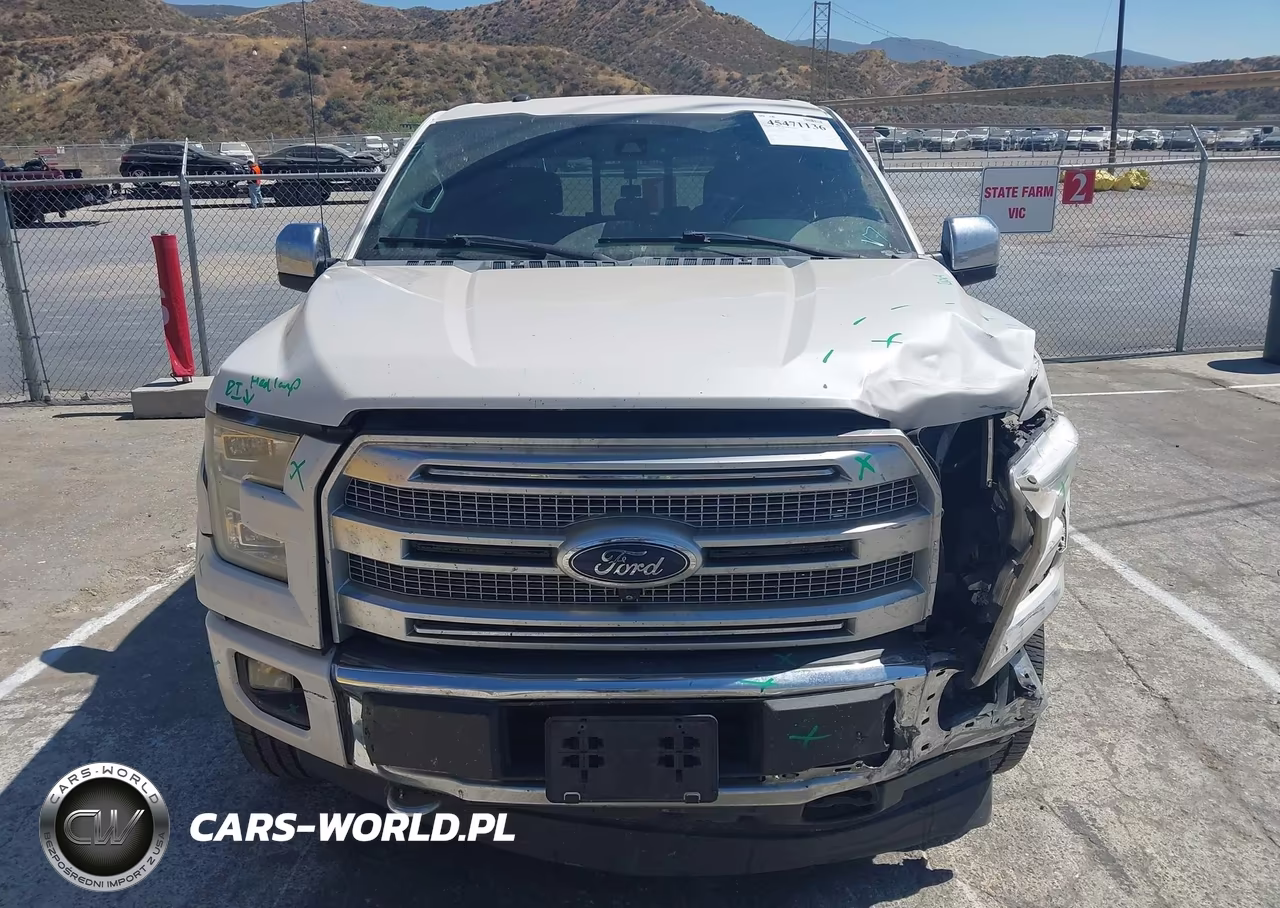 2017 Ford F-150 Platinum VIN:1FTEW1EG1HFB41684 - 12