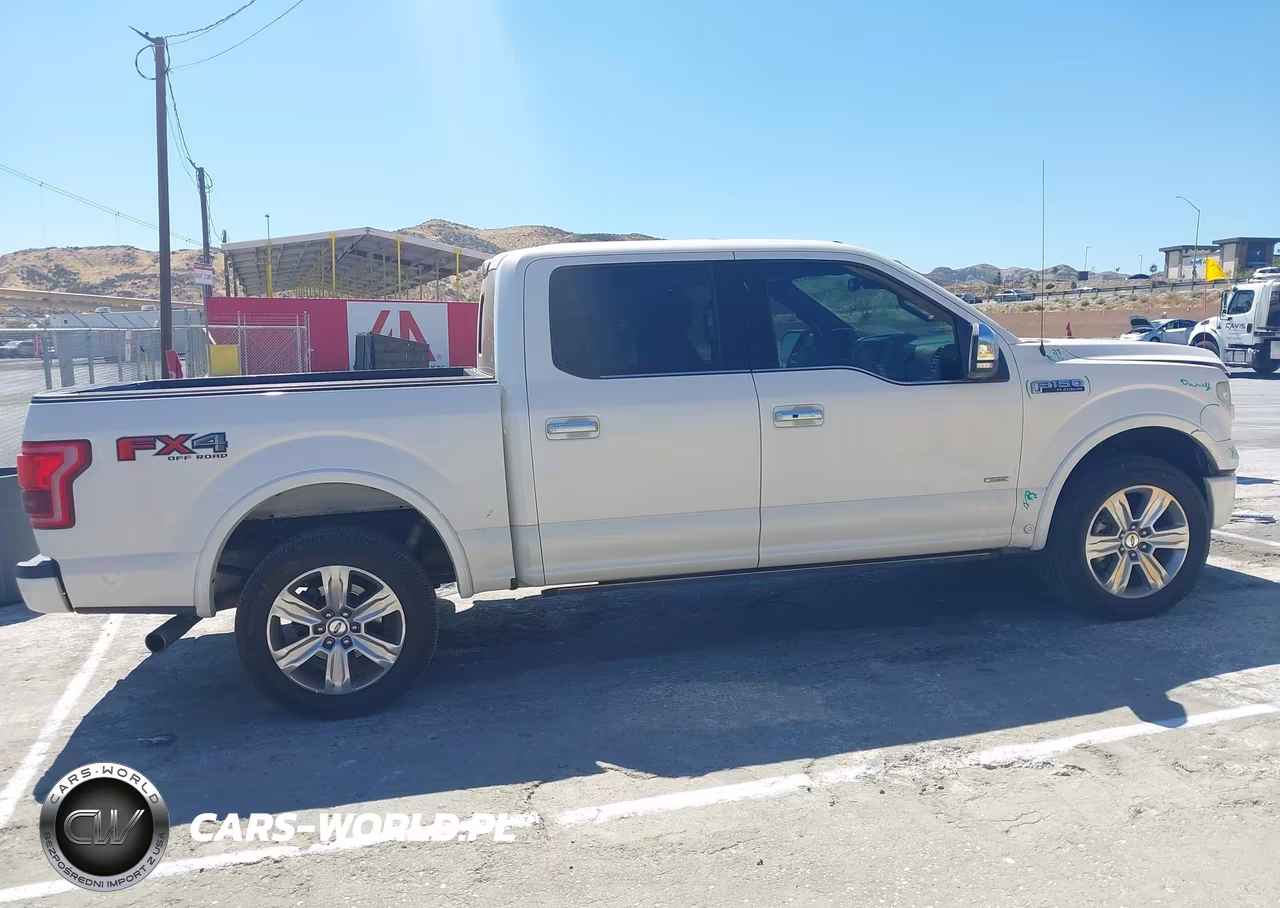 2017 Ford F-150 Platinum VIN:1FTEW1EG1HFB41684 - 13