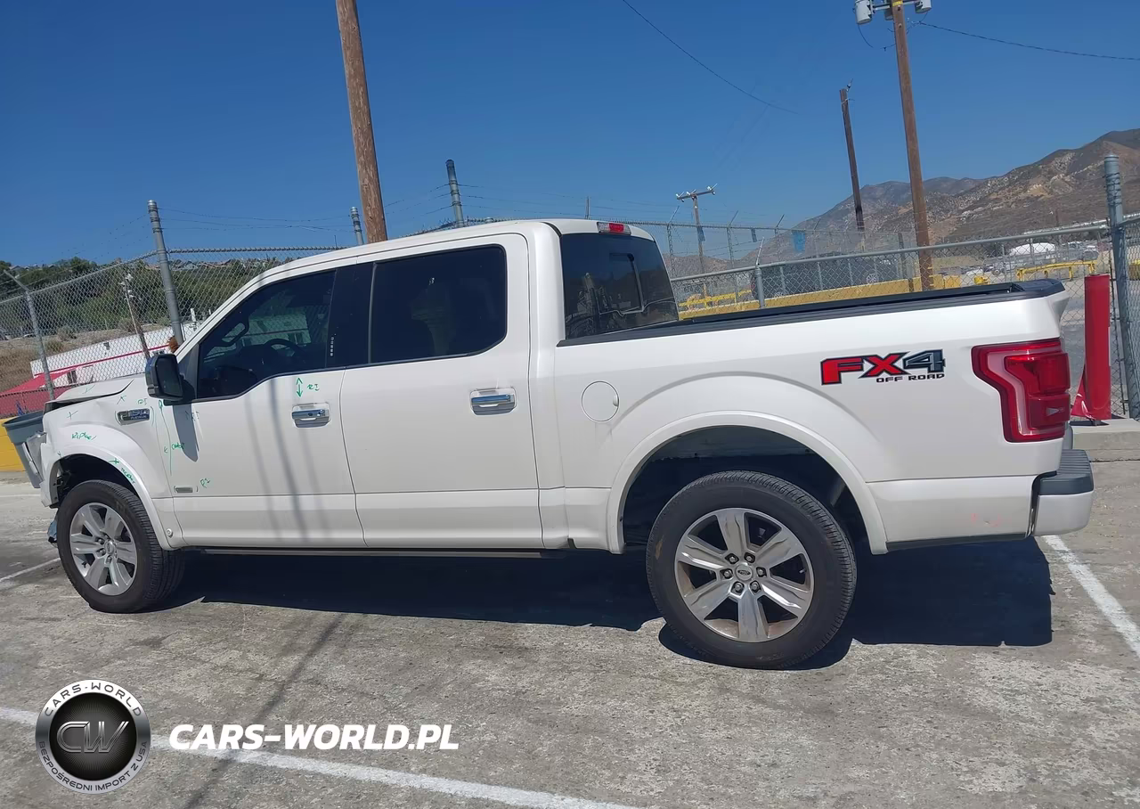 2017 Ford F-150 Platinum VIN:1FTEW1EG1HFB41684 - 14