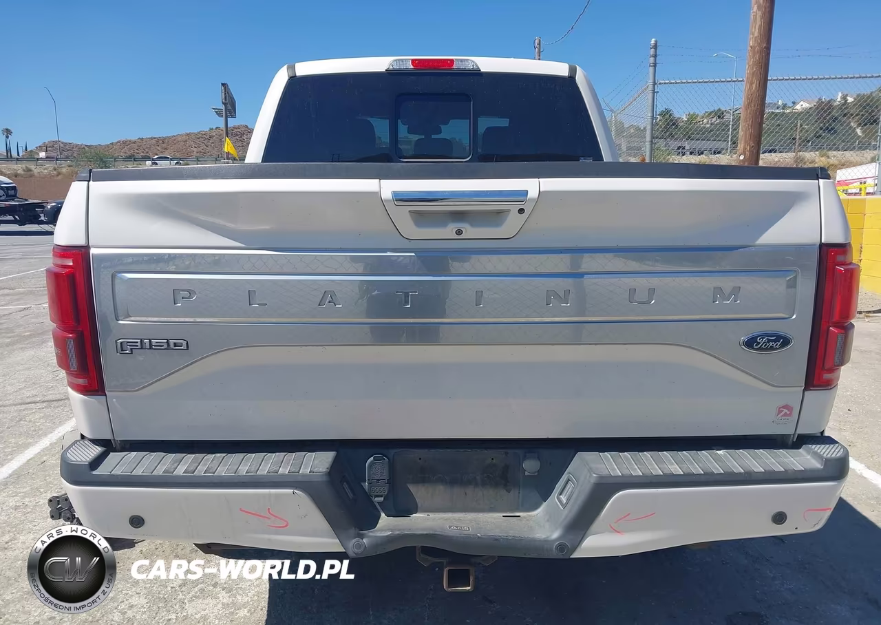 2017 Ford F-150 Platinum VIN:1FTEW1EG1HFB41684 - 16