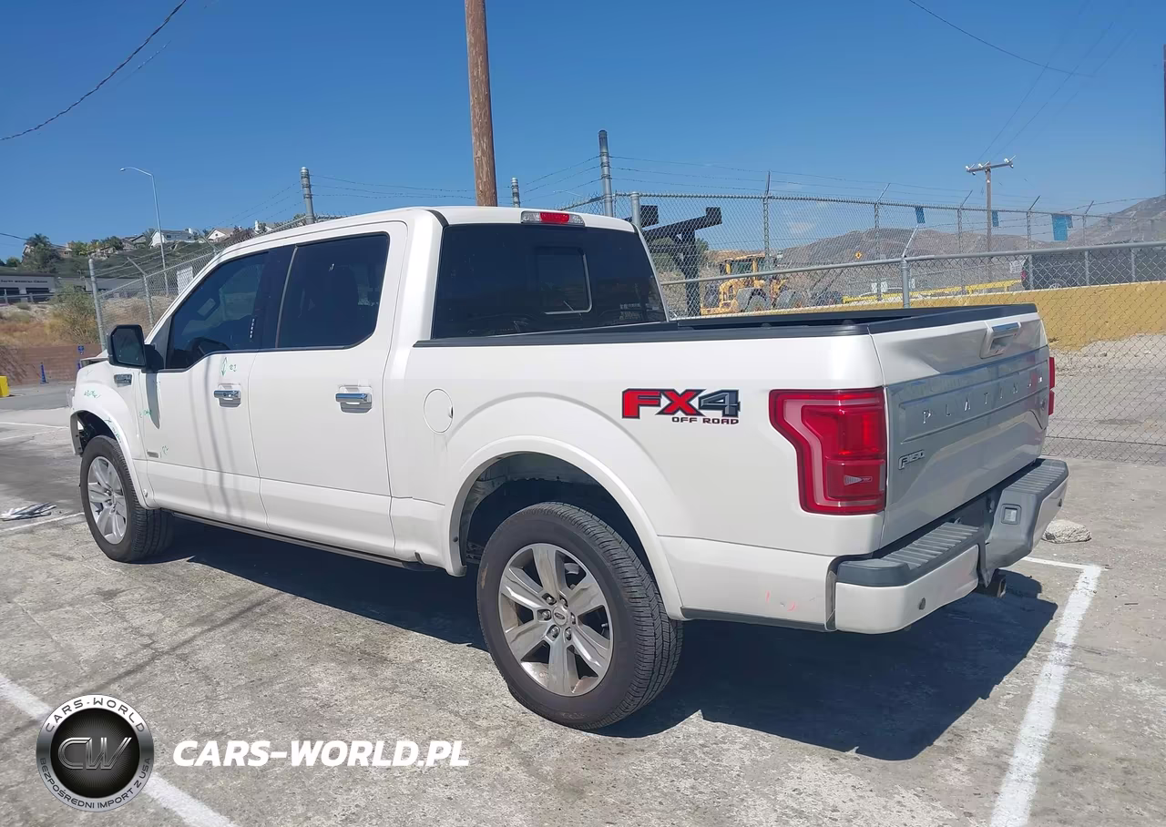 2017 Ford F-150 Platinum VIN:1FTEW1EG1HFB41684 - 3