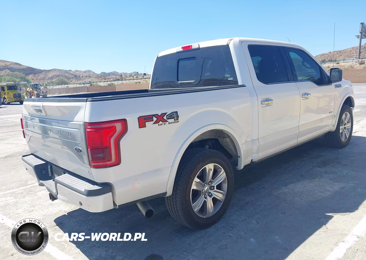 2017 Ford F-150 Platinum VIN:1FTEW1EG1HFB41684 - 4