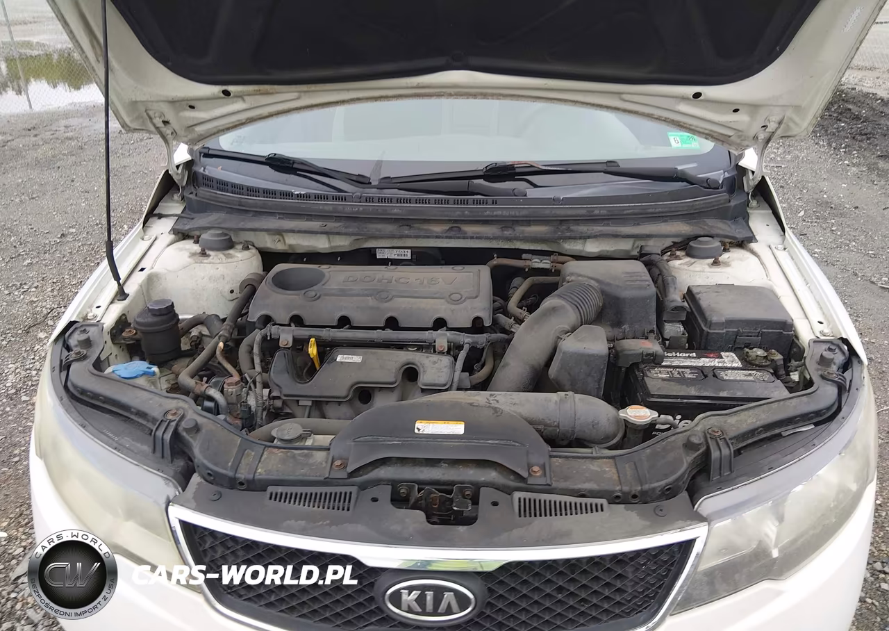 2010 Kia Forte Ex VIN:KNAFU4A2XA5231480 - 10