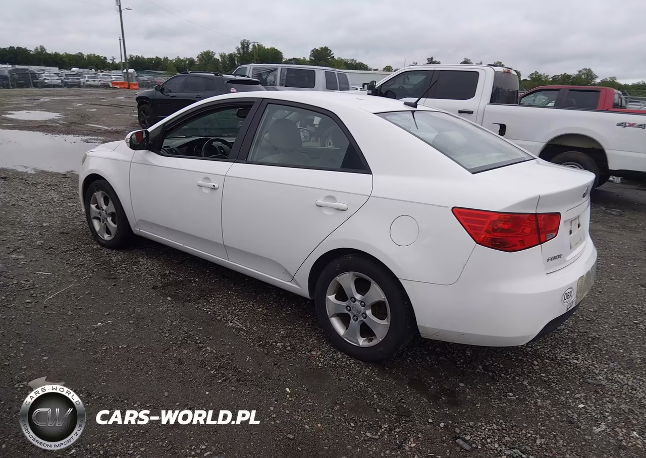 2010 Kia Forte Ex VIN:KNAFU4A2XA5231480 - 3