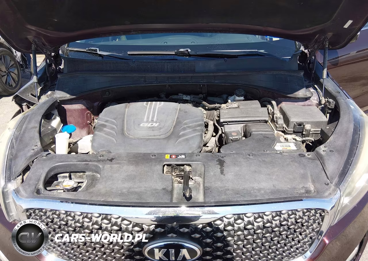 2016 Kia Sorento 3.3L Sx VIN:5XYPK4A51GG067494 - 10