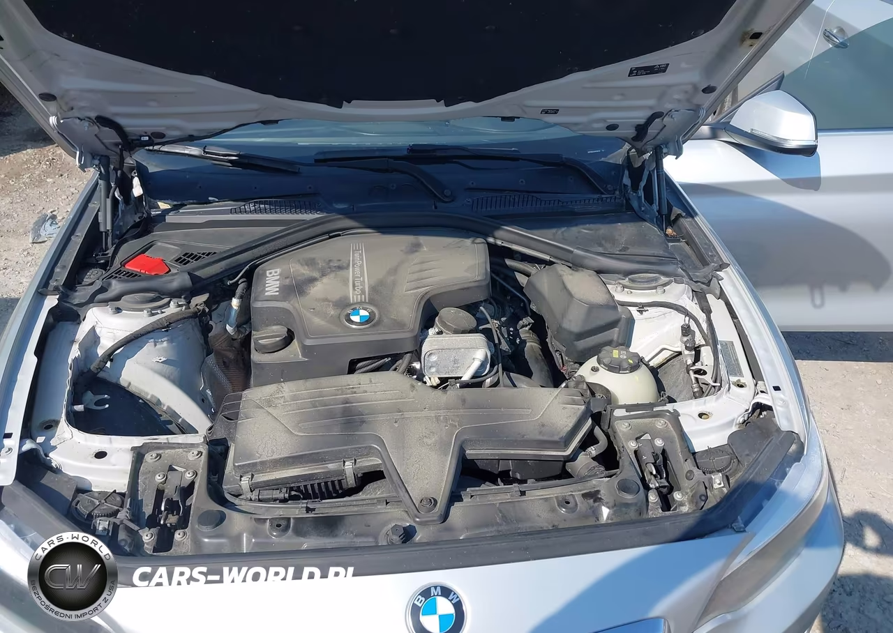 2016 BMW 228I xDrive VIN:WBA1G9C54GV599734 - 10