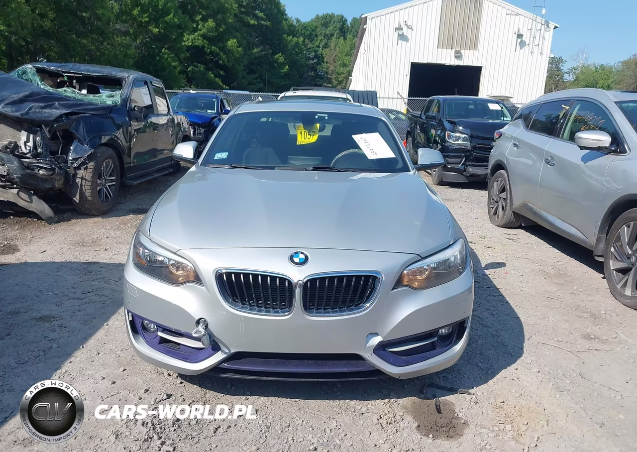 2016 BMW 228I xDrive VIN:WBA1G9C54GV599734 - 12