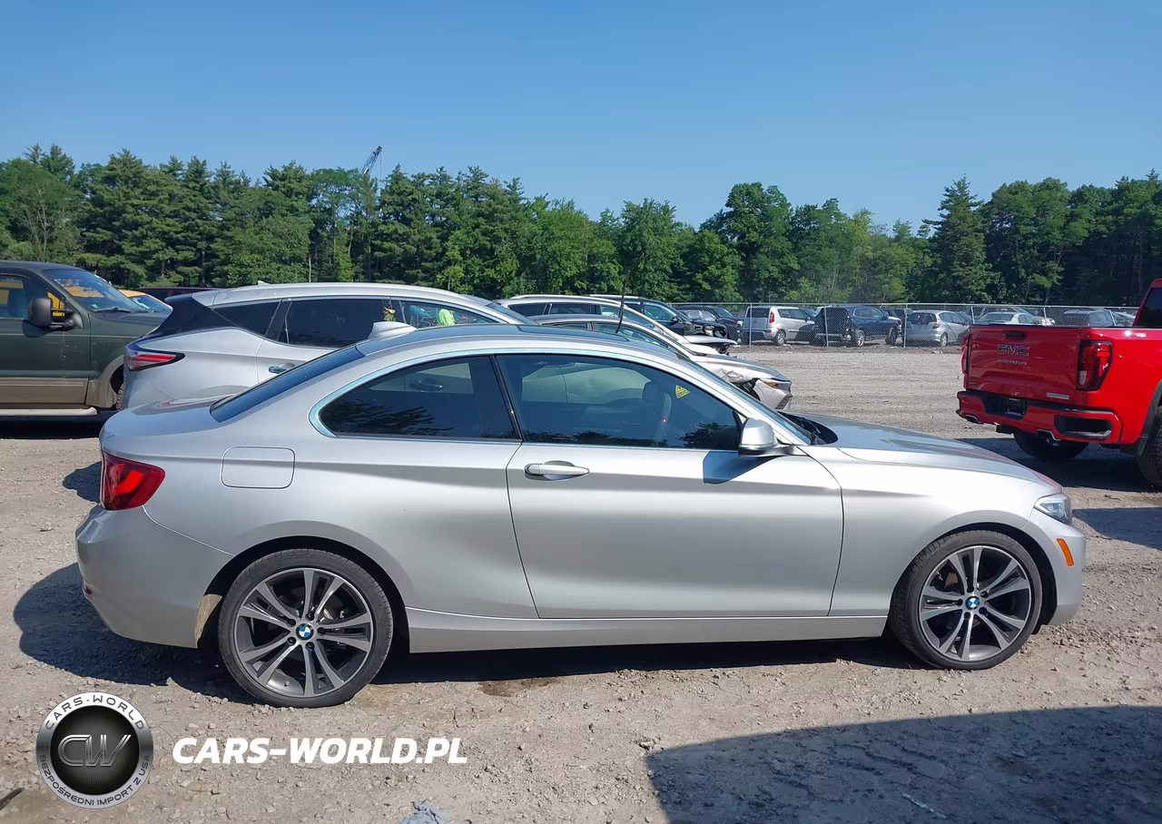 2016 BMW 228I xDrive VIN:WBA1G9C54GV599734 - 13