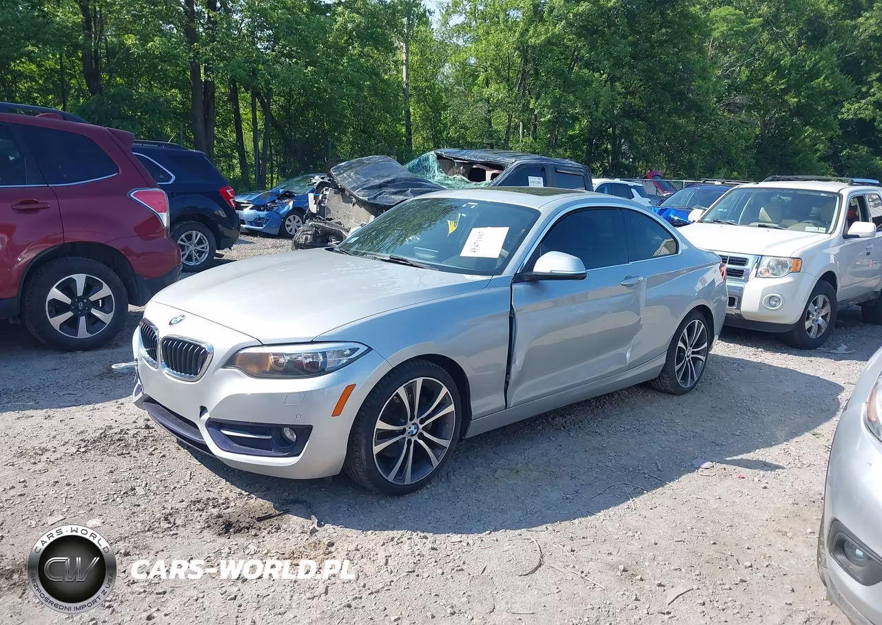 2016 BMW 228I xDrive VIN:WBA1G9C54GV599734 - 2
