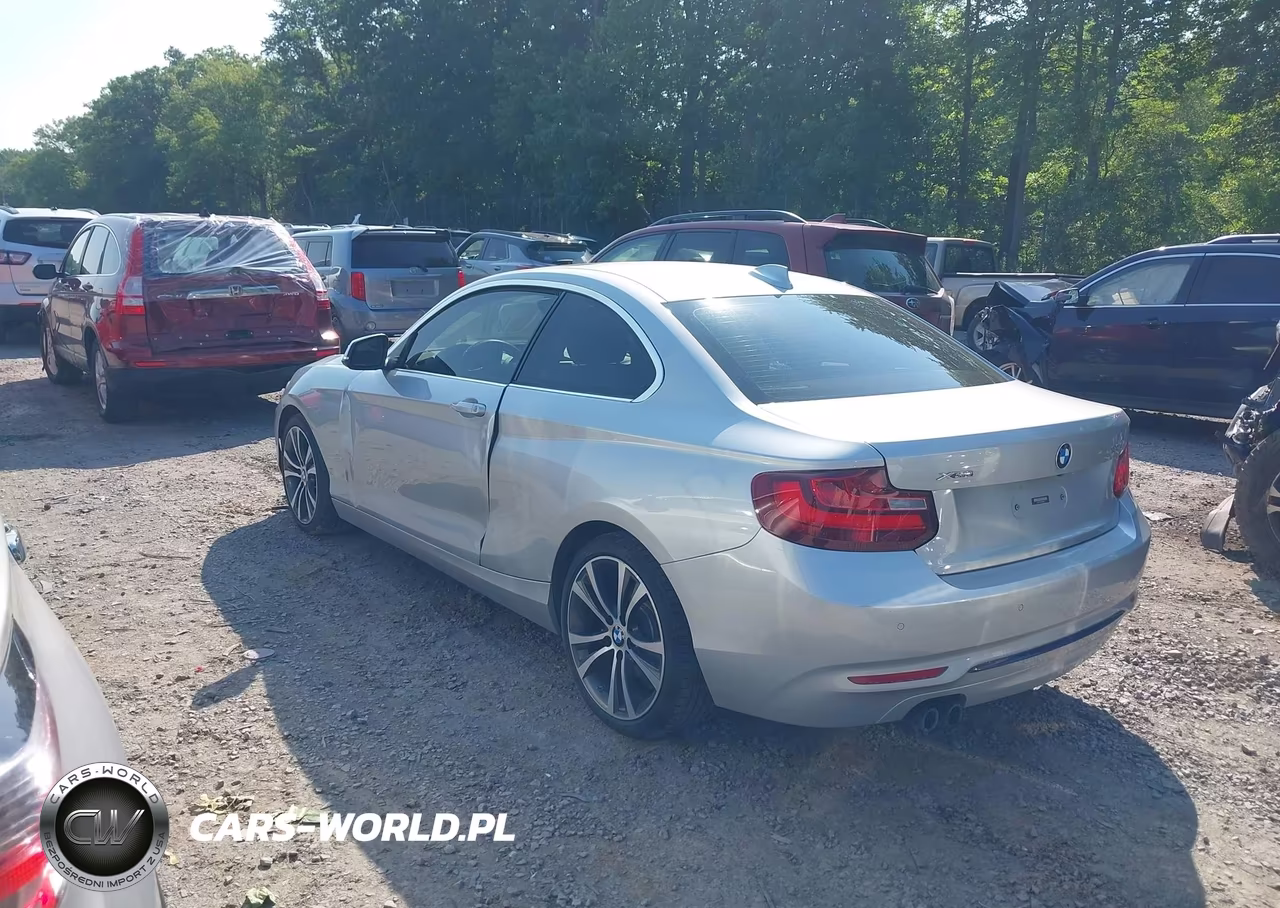 2016 BMW 228I xDrive VIN:WBA1G9C54GV599734 - 3