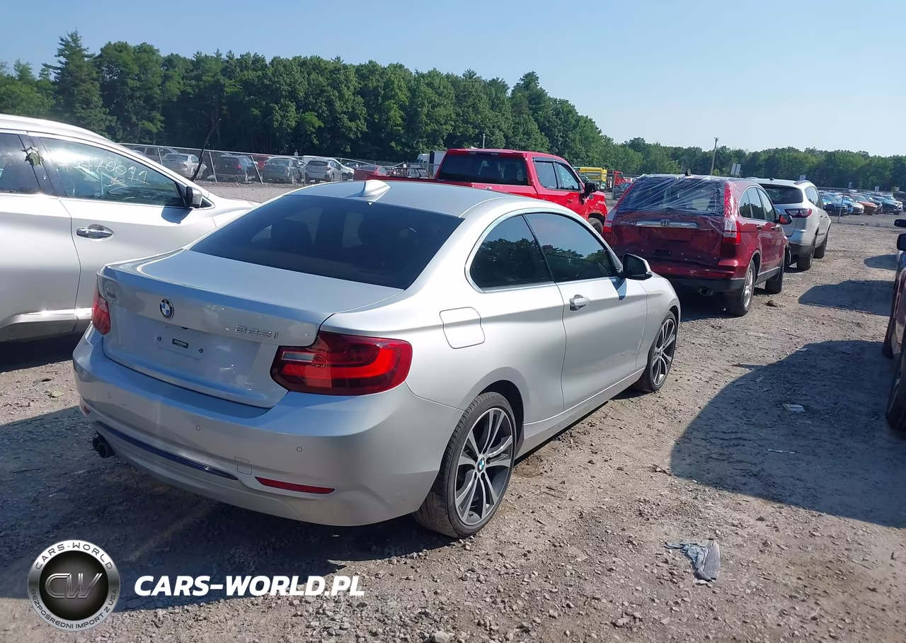 2016 BMW 228I xDrive VIN:WBA1G9C54GV599734 - 4