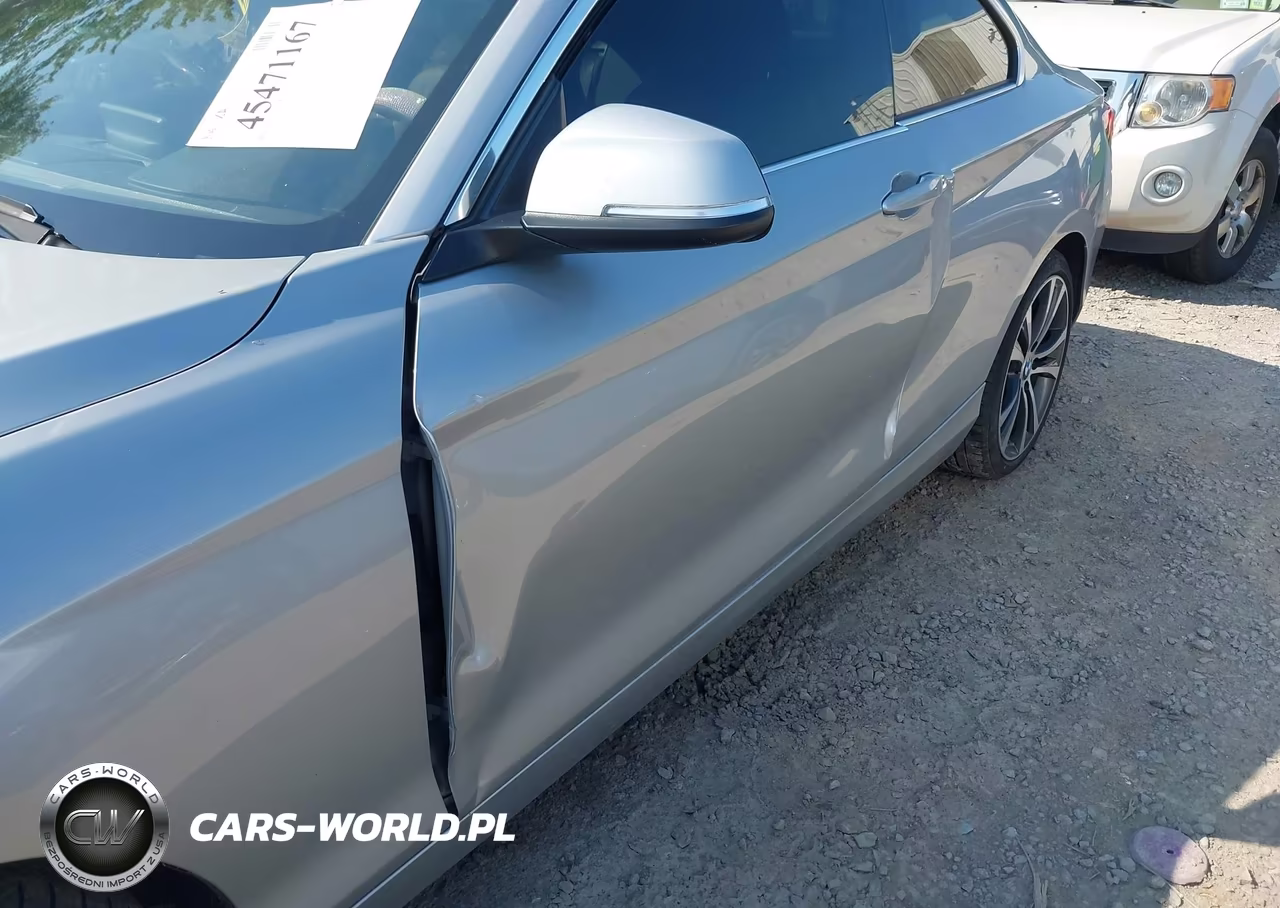 2016 BMW 228I xDrive VIN:WBA1G9C54GV599734 - 6