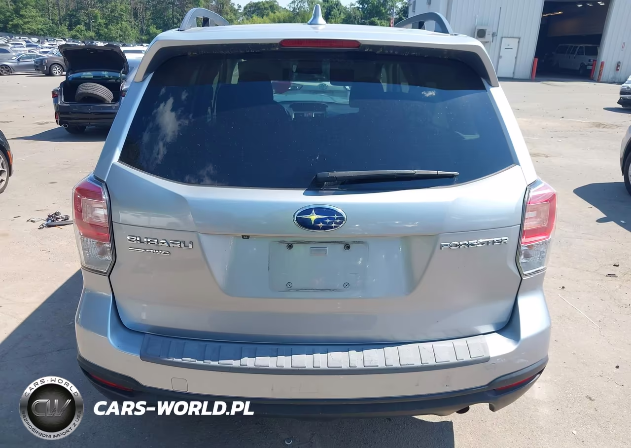 2018 Subaru Forester 2.5I Premium VIN:JF2SJAECXJH457417 - 17