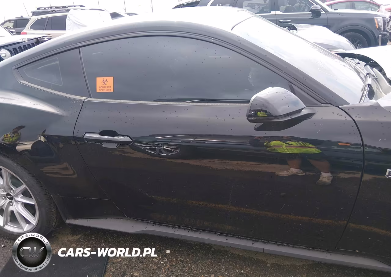2025 Ford Mustang Gt Premium Fastback VIN:1FA6P8CF2S5413389 - 13