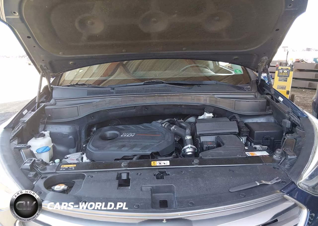 2017 Hyundai Santa Fe Sport 2.0T Ultimate VIN:5XYZW4LA0HG486963 - 10