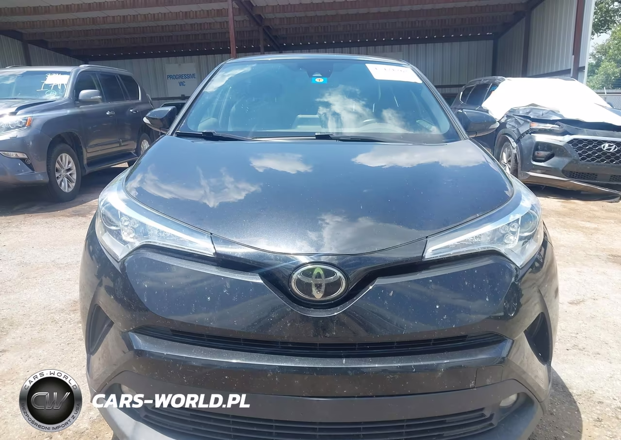 2019 Toyota C-Hr Limited VIN:JTNKHMBXXK1015195 - 13