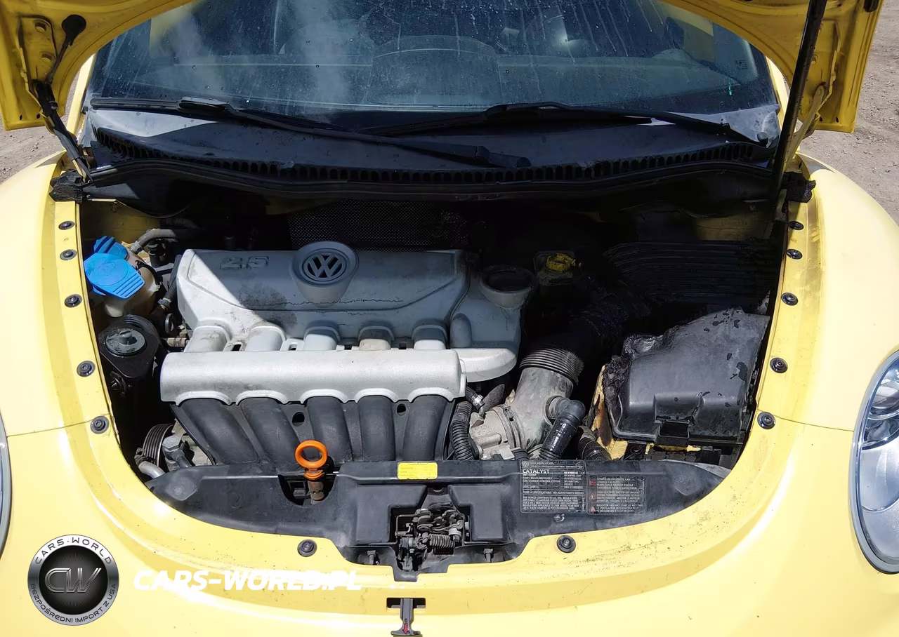 2008 Volkswagen New Beetle S VIN:3VWPG31C68M508189 - 10
