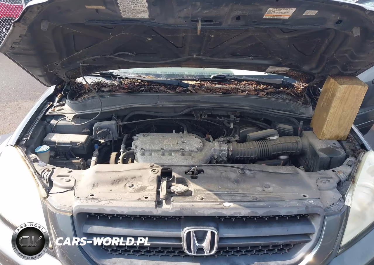 2005 Honda Pilot Ex-L VIN:5FNYF18675B016463 - 10
