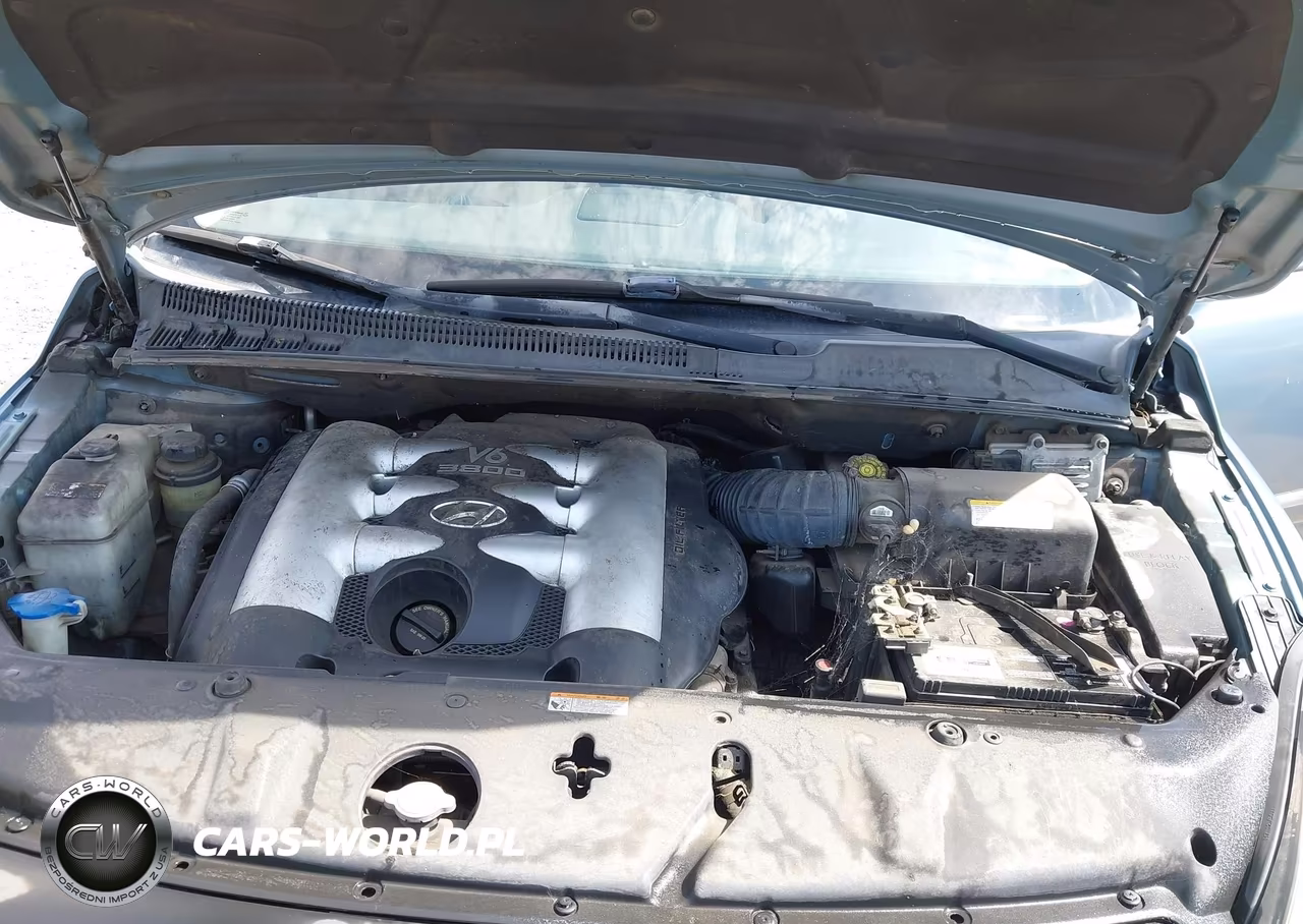 2007 Hyundai Entourage Gls-Limited-Se VIN:KNDMC233076024221 - 10
