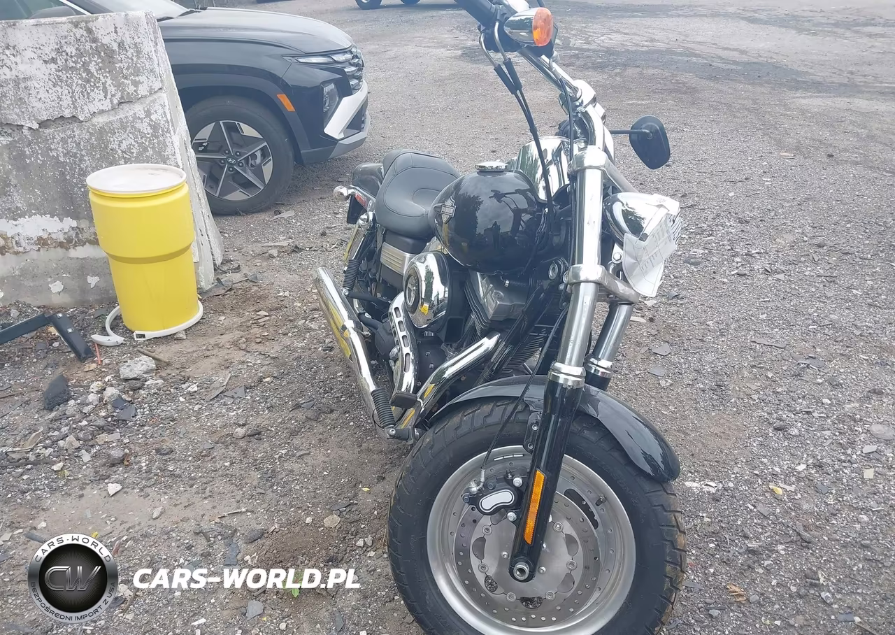 2010 Harley-Davidson Fxdf