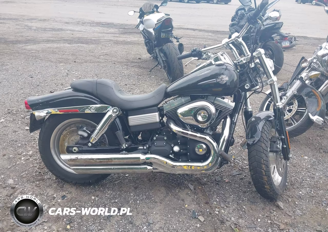 2010 Harley-Davidson Fxdf VIN:1HD1GY414AC317568 - 13