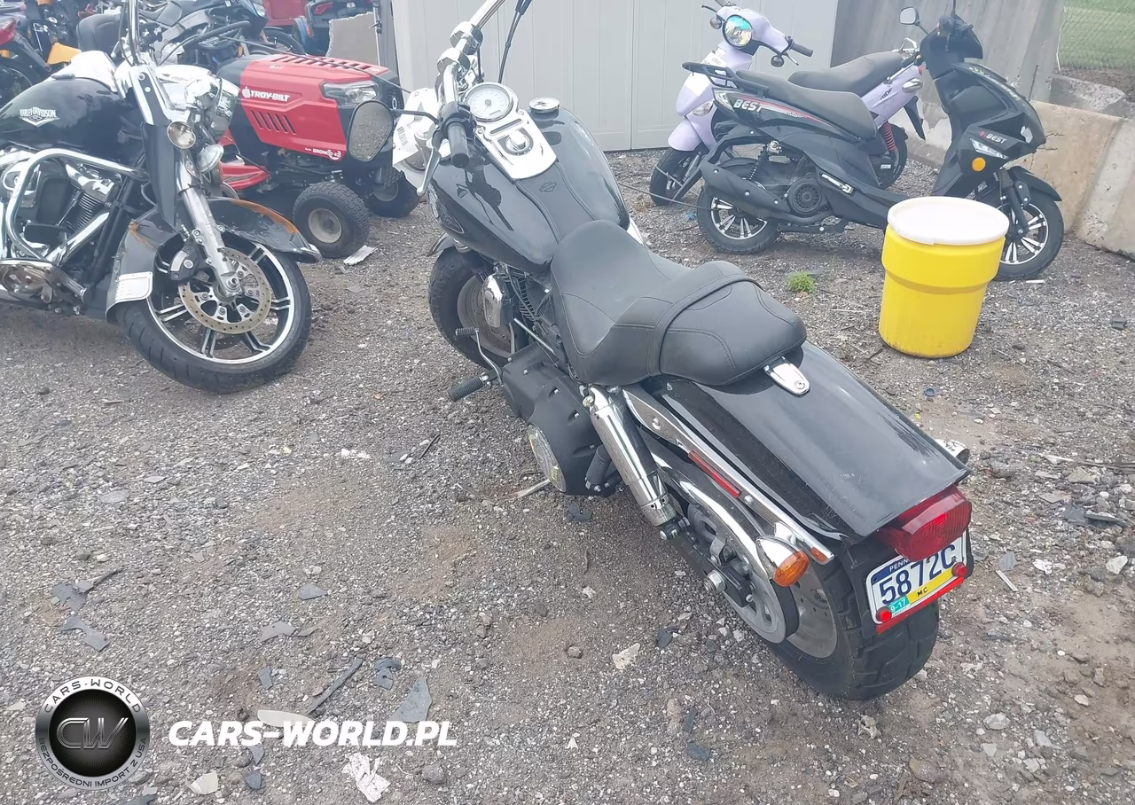 2010 Harley-Davidson Fxdf VIN:1HD1GY414AC317568 - 3