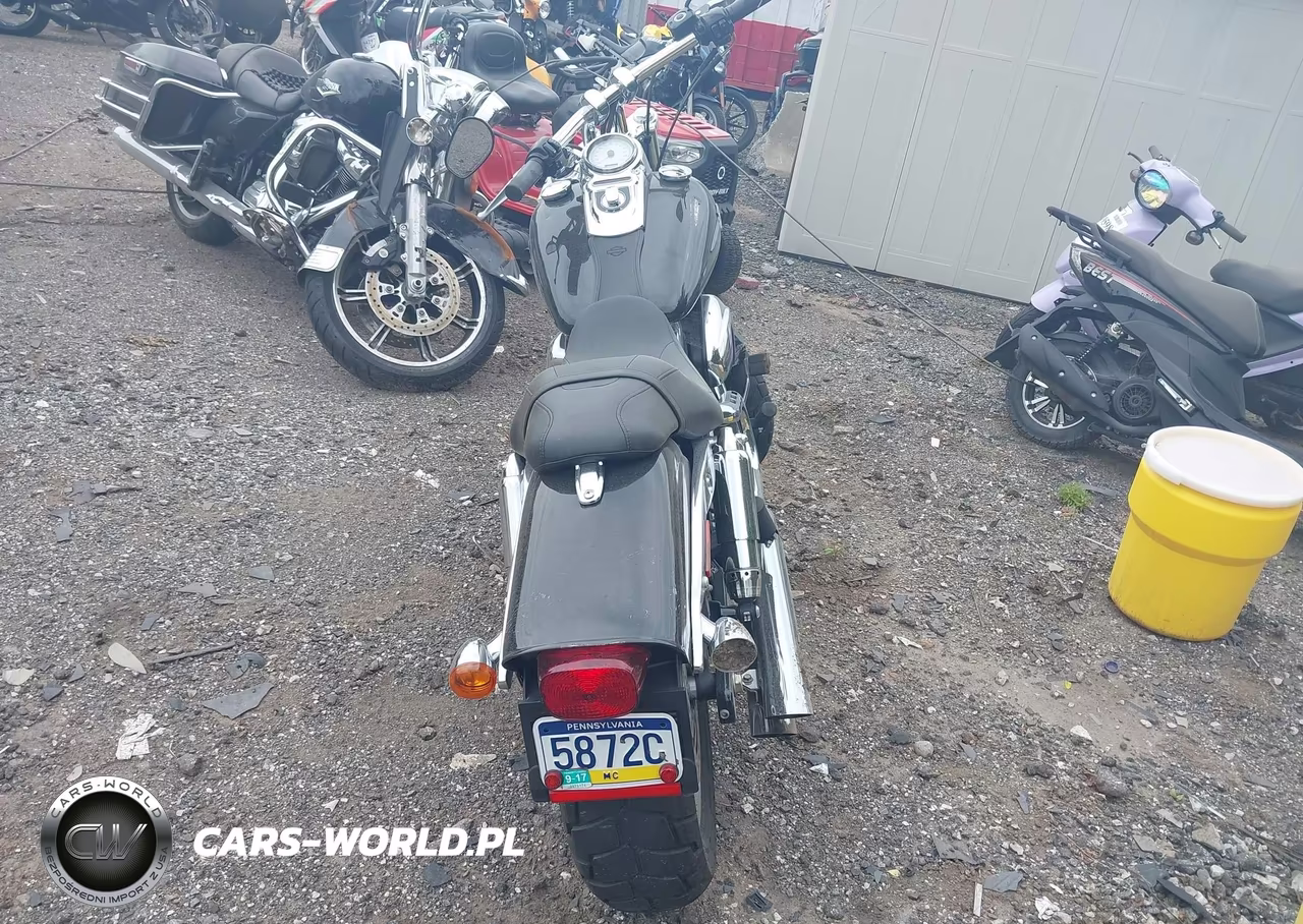 2010 Harley-Davidson Fxdf VIN:1HD1GY414AC317568 - 6
