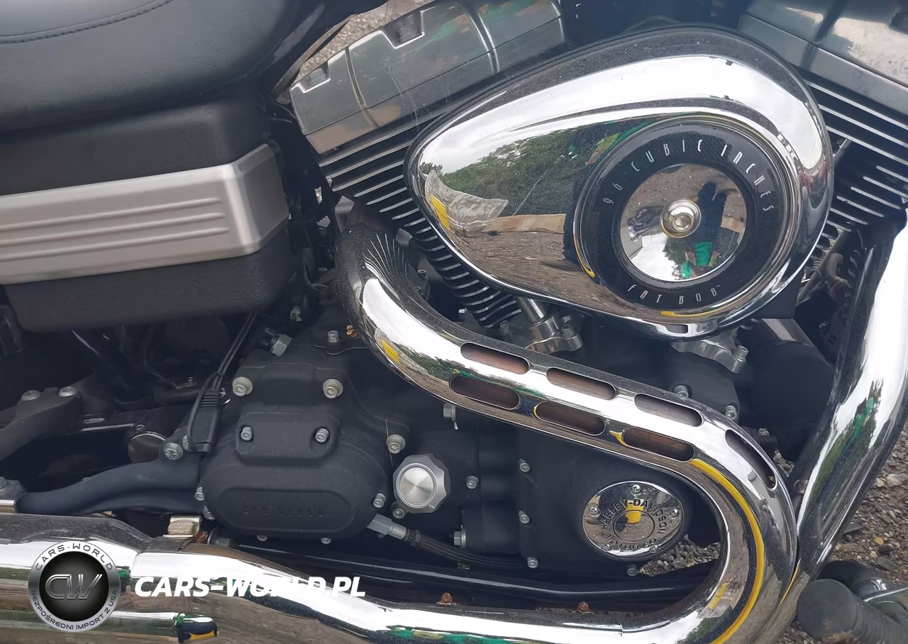 2010 Harley-Davidson Fxdf VIN:1HD1GY414AC317568 - 8