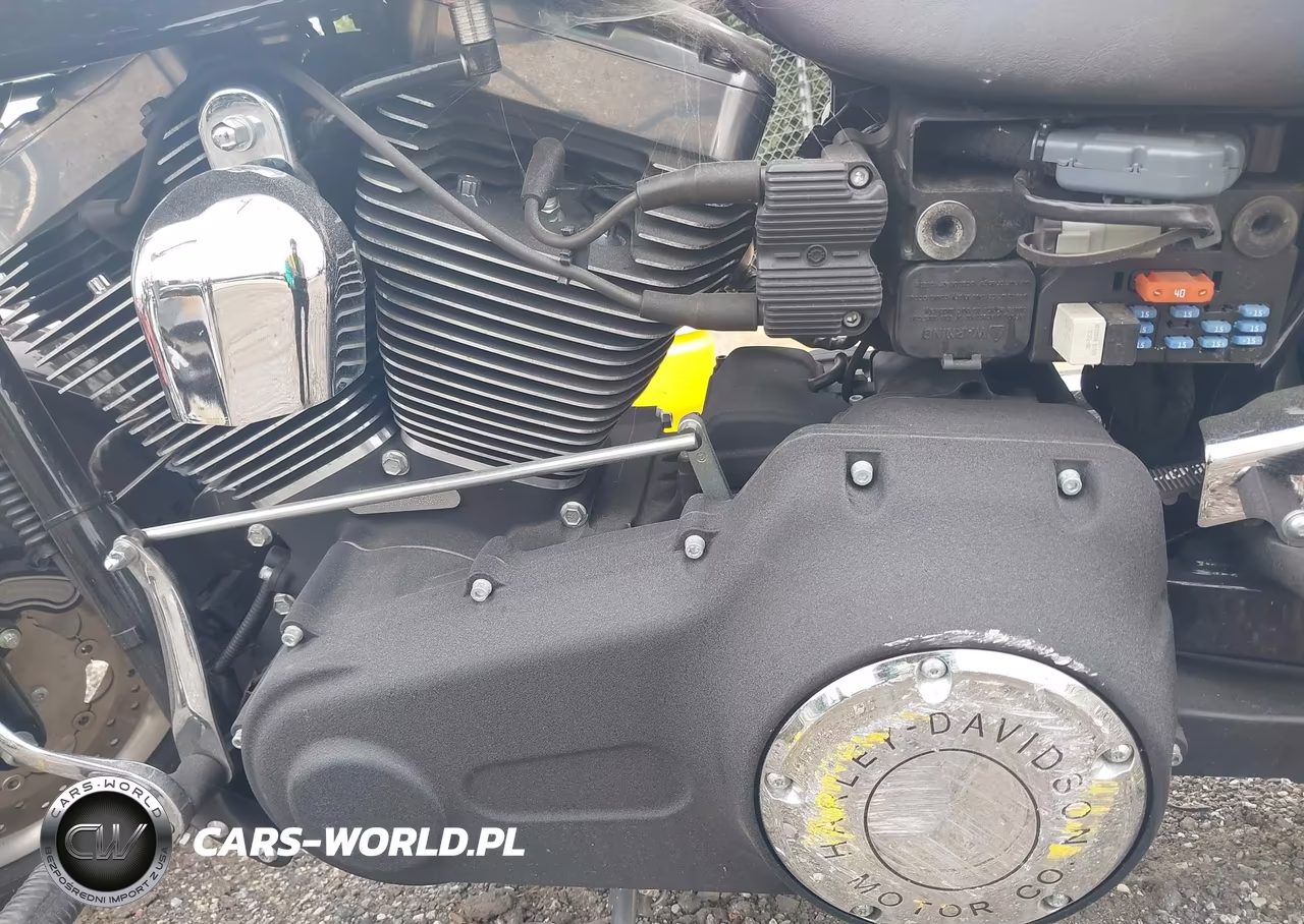 2010 Harley-Davidson Fxdf VIN:1HD1GY414AC317568 - 9