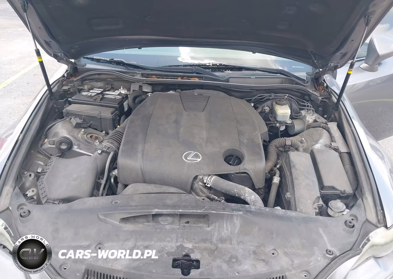 2014 Lexus Is 250 VIN:JTHBF1D23E5027789 - 10