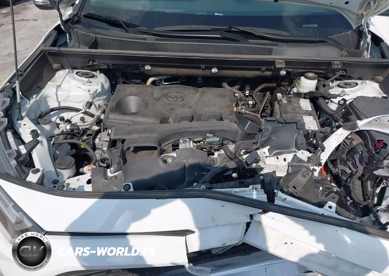 2024 Toyota Rav4 Xle VIN:2T3W1RFV0RW338618 - 10