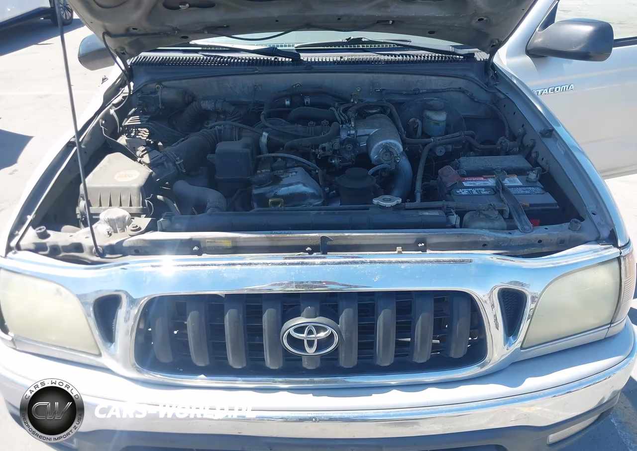2003 Toyota Tacoma Prerunner VIN:5TENM92N63Z290742 - 10