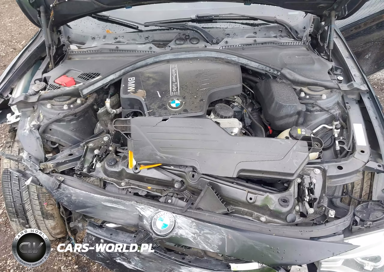 2015 BMW 428I VIN:WBA3N7C50FK224135 - 10
