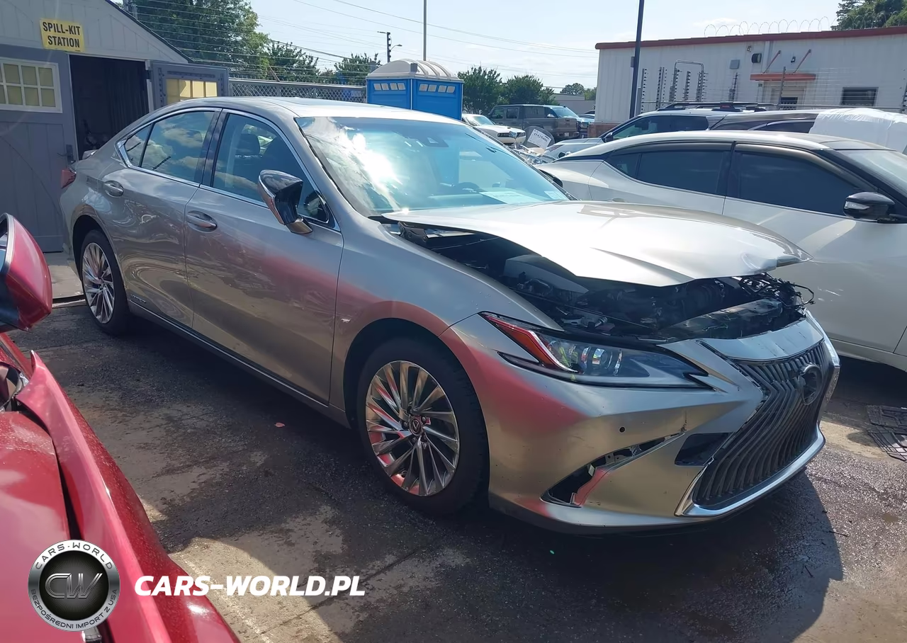 2019 Lexus Es 300H Luxury