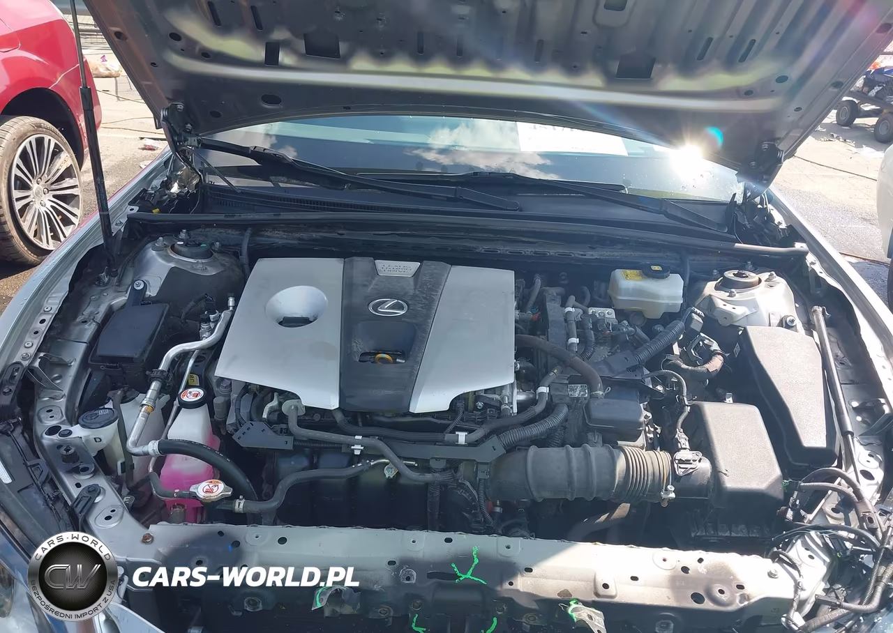 2019 Lexus Es 300H Luxury VIN:JTHB21B19K2000910 - 10