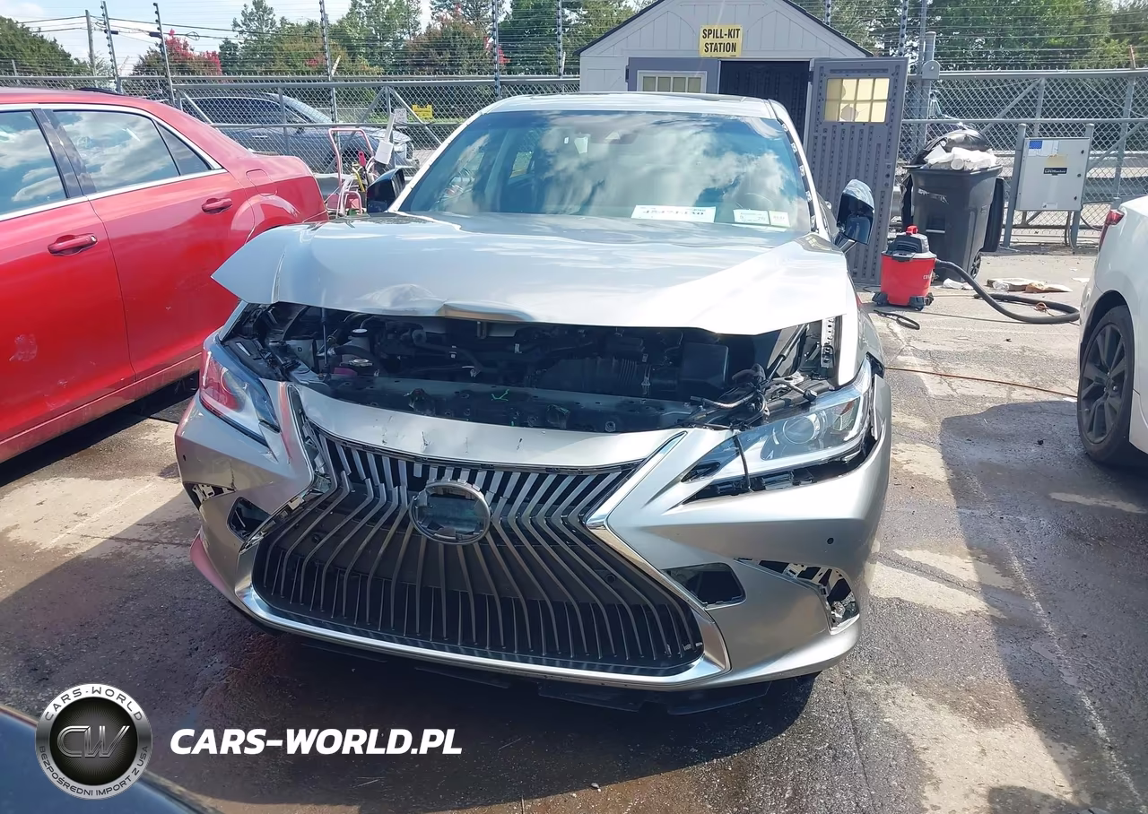 2019 Lexus Es 300H Luxury VIN:JTHB21B19K2000910 - 13