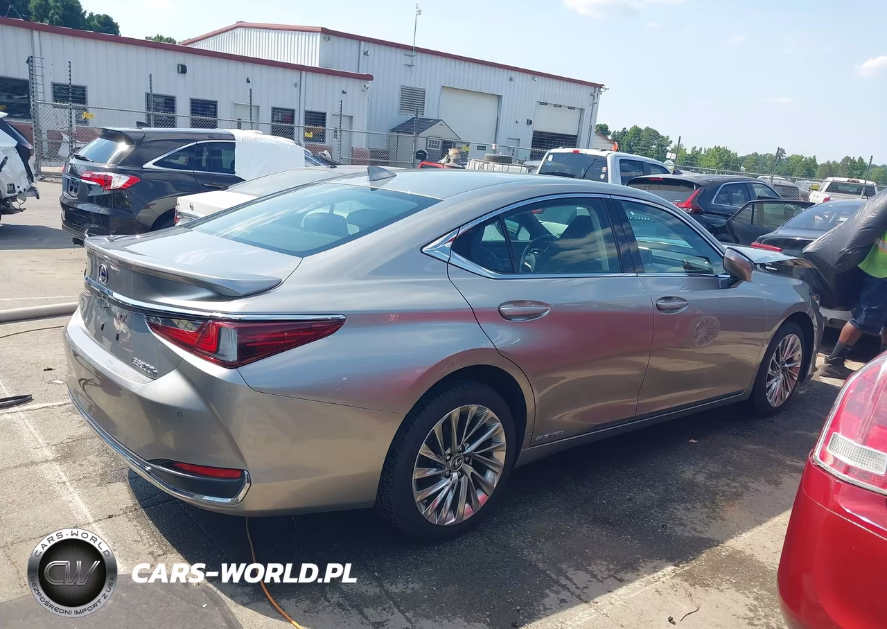 2019 Lexus Es 300H Luxury VIN:JTHB21B19K2000910 - 14